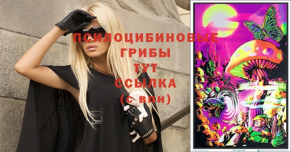 ешки Арсеньев
