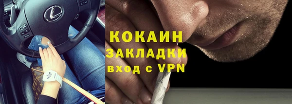 ешки Арсеньев
