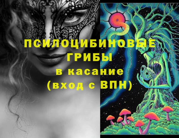 трава Армянск