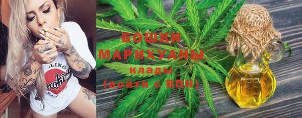стафф Аркадак