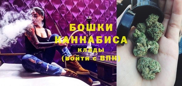 ешки Арсеньев