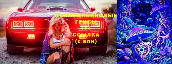 трава Армянск