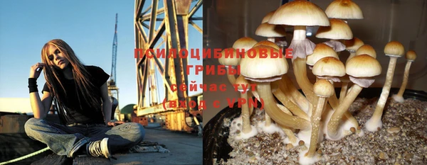 ешки Арсеньев