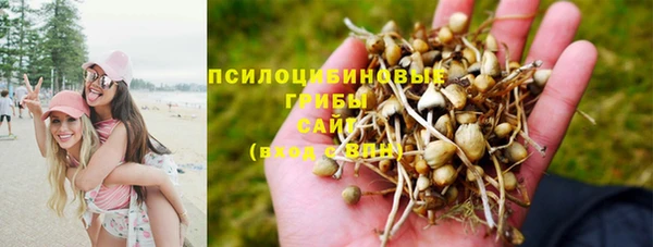 трава Армянск