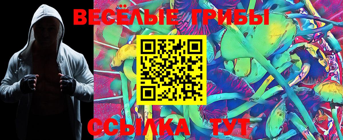 Псилоцибиновые грибы Cubensis Бугуруслан